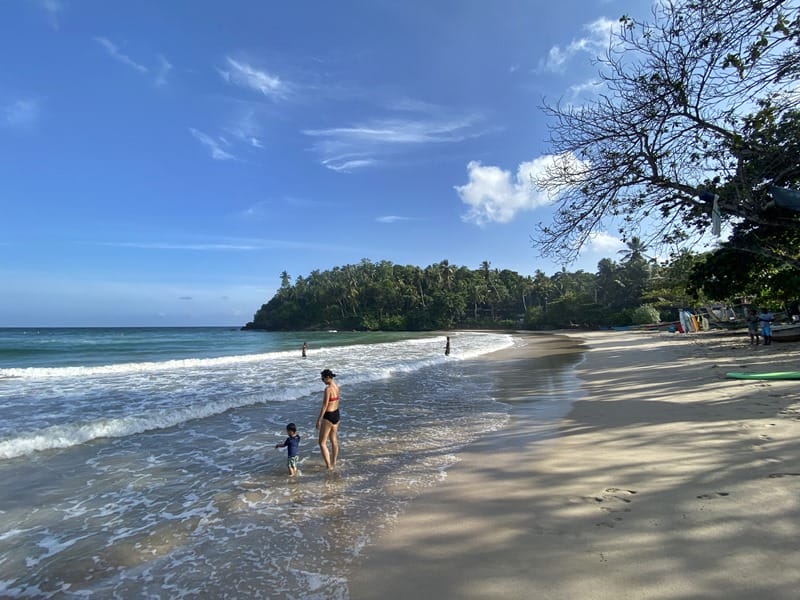 Ella's Scenic Beauty