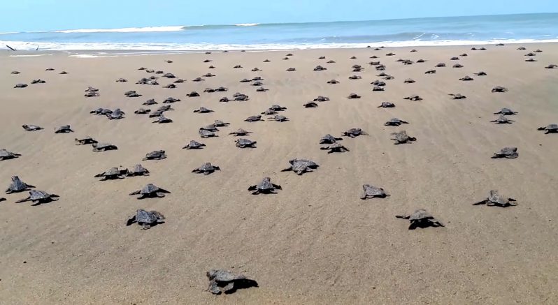 Transfer to Tangalle