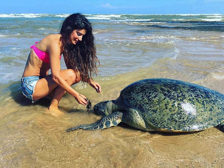 Hikkaduwa Beach Life