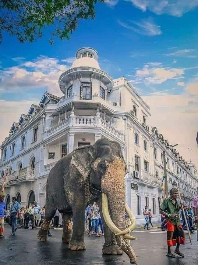 8-Day Sri Lankan Wonders: Culture, Wildlife & Scenic Beauty