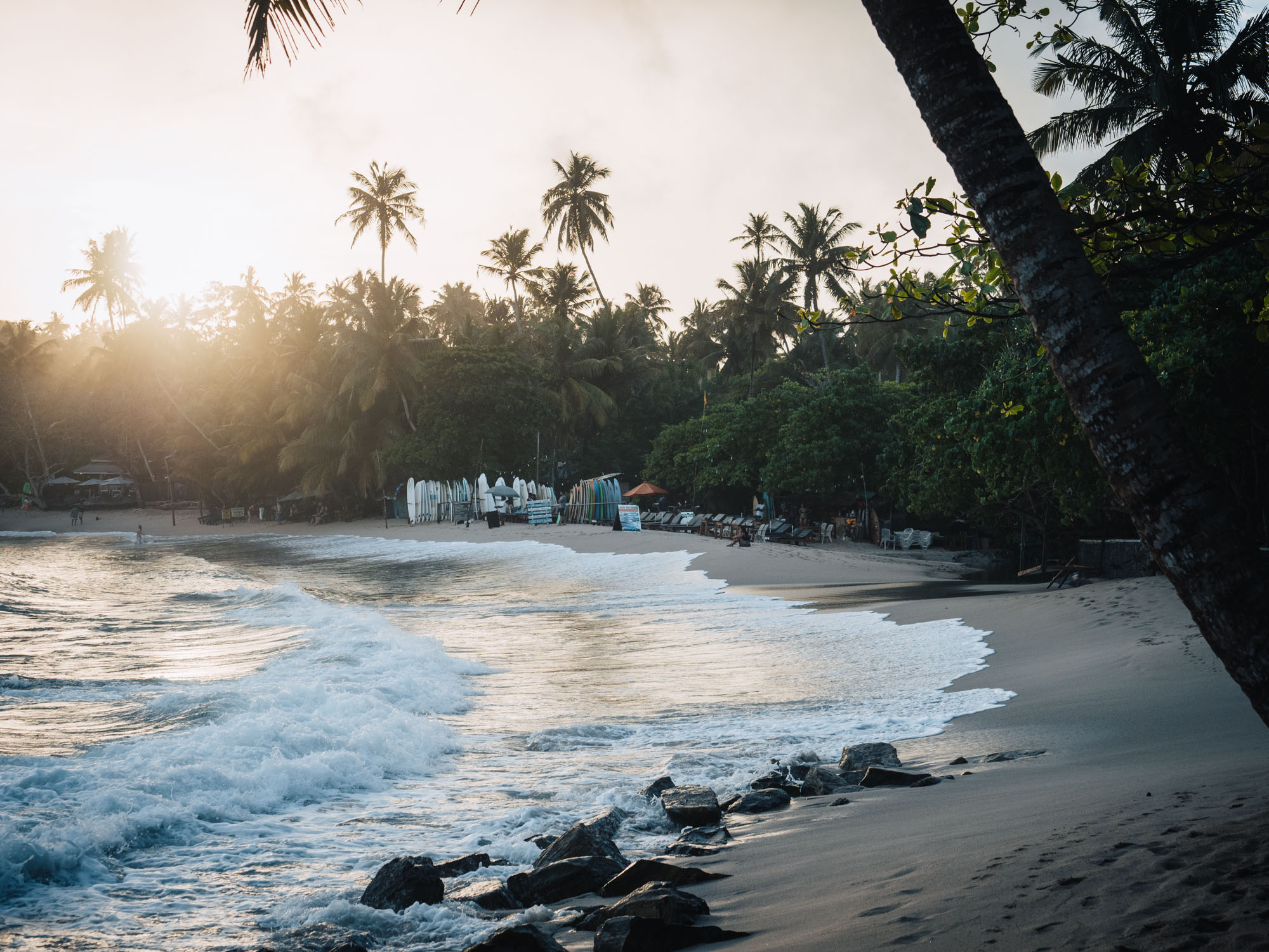 14-Day Ultimate Sri Lanka Journey: Culture, Nature & Coastal Bliss